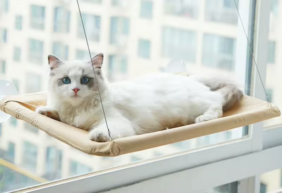 Ultra-Soft Cat Window Hammock Bed, Naptime Comfortable Cloud-Shaped Feline Perch, Securely Mounted, Perfect for Space Saving 